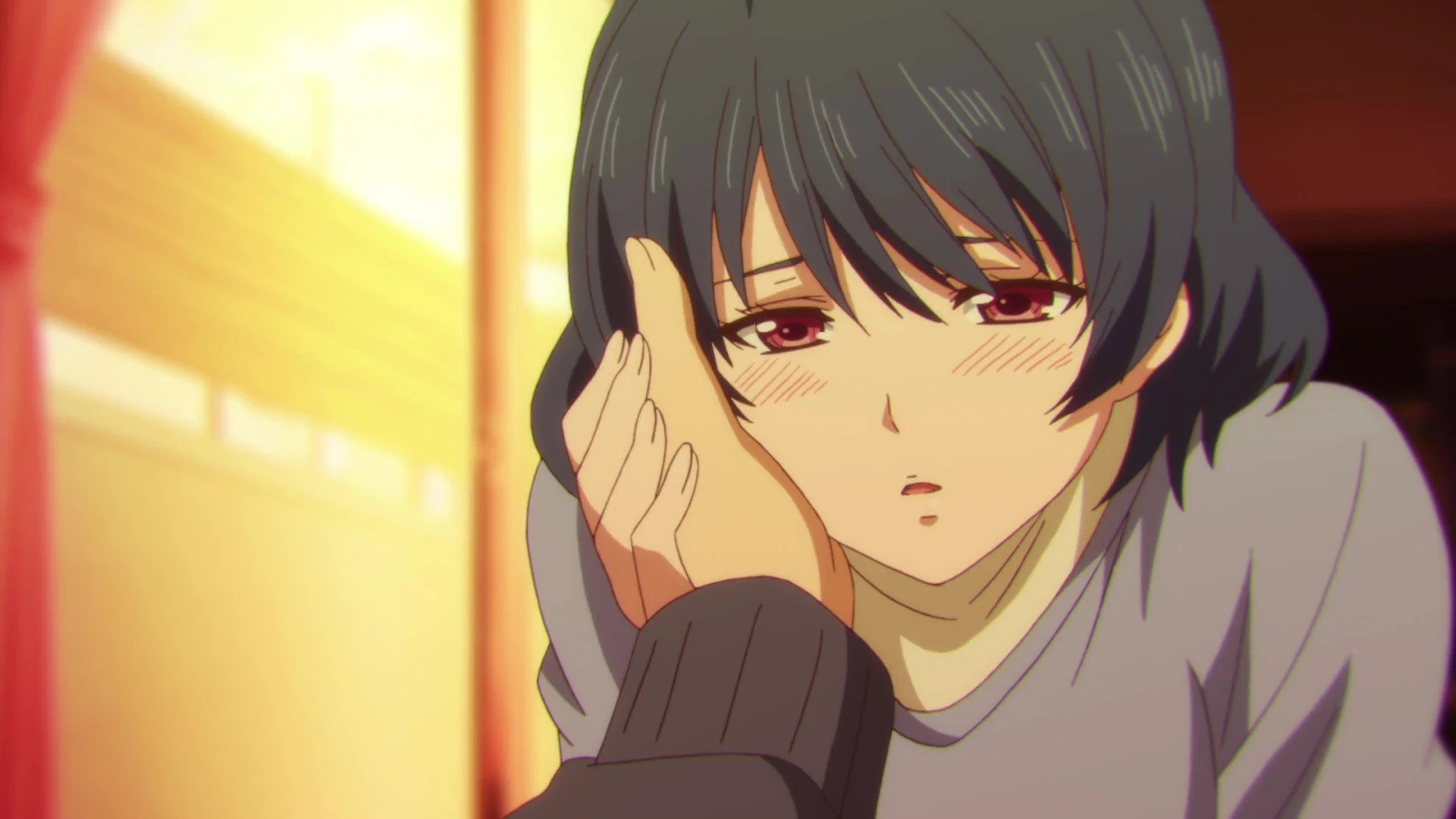 Domestic na Kanojo